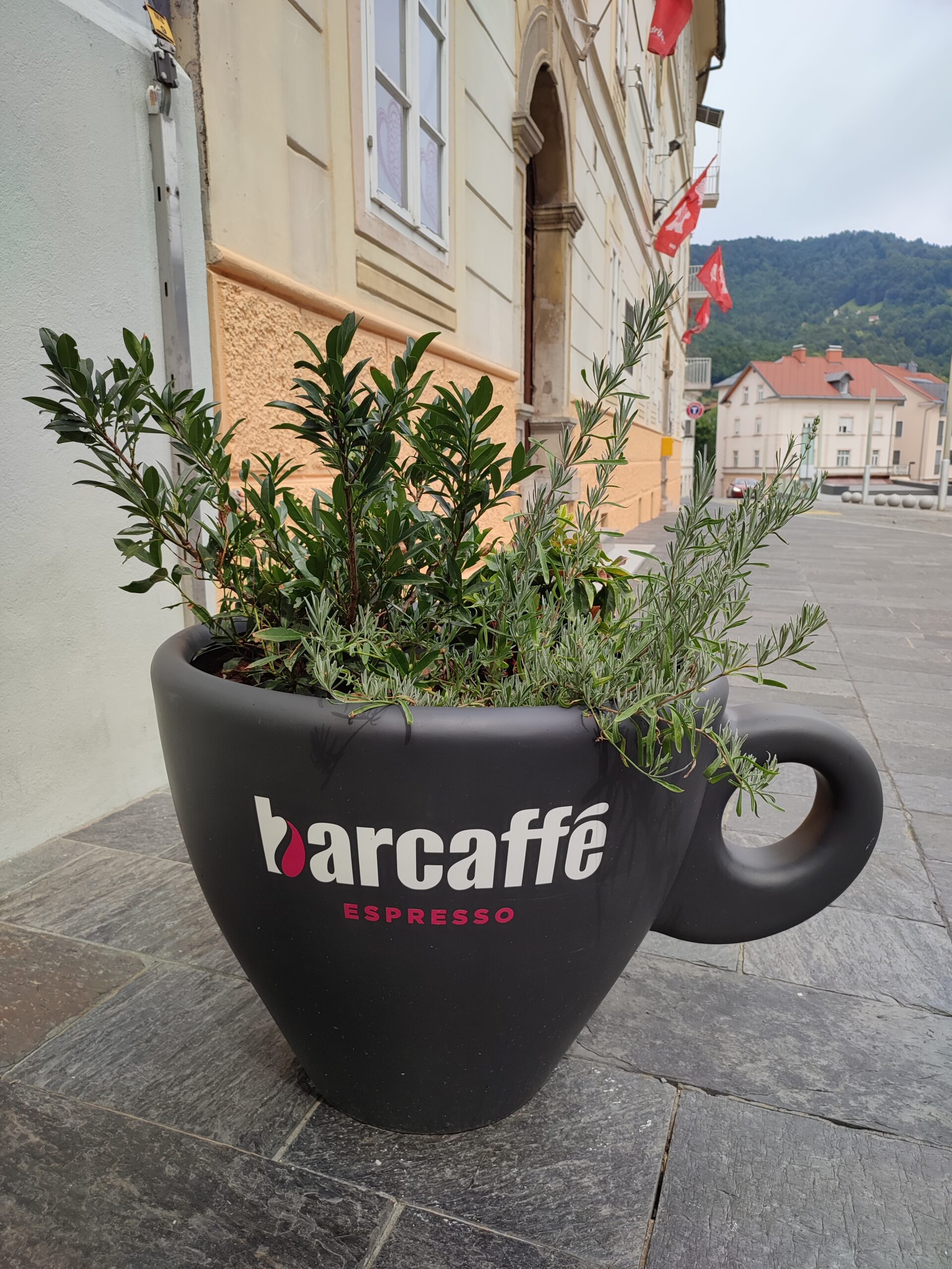 gallery-1660213979291